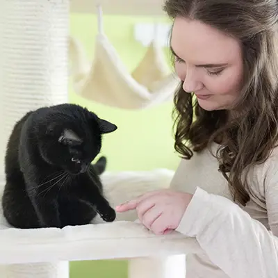 Katzentrainerin beim Katzensitting in Potsdam mit schwarzer Katze